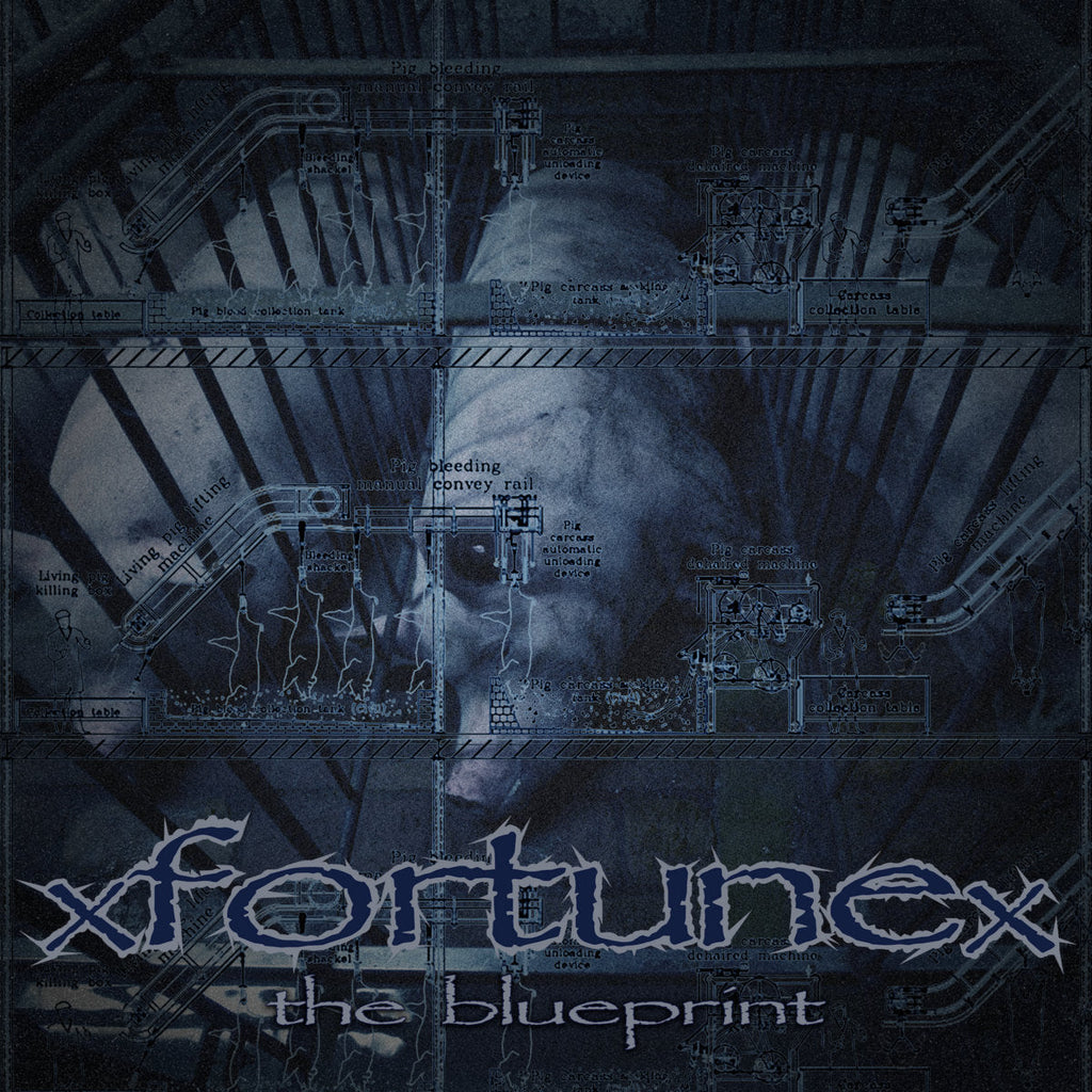 xfortunex: The Blueprint